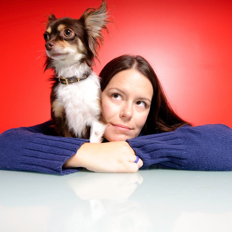 Are Chihuahuas Good for First Time Dog Owners chihuahuas shop