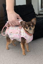 Everyday Chihuahua Sling Carrier