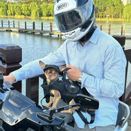 Chihuahua Shoulder Sling Carrier Chihuahuas shop