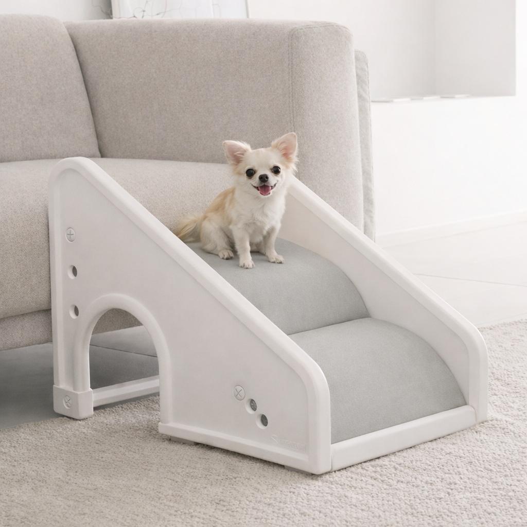 chihuahua pet ramp Little Steps Chihuahua Ramp