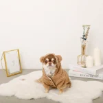 teddy chihuahua winter coat chihuahuas shop