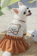 teddy chihuahua dress